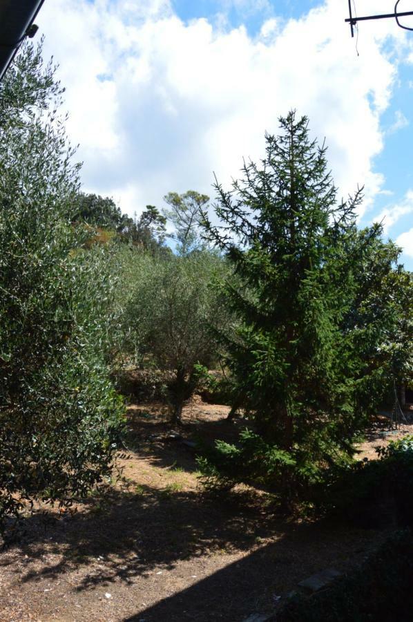 Casa Bolasco Lavagna Dış mekan fotoğraf